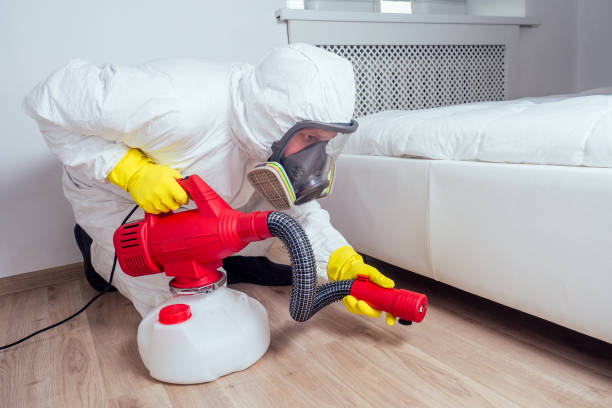 Best Pest Removal Services  in Viola, IL