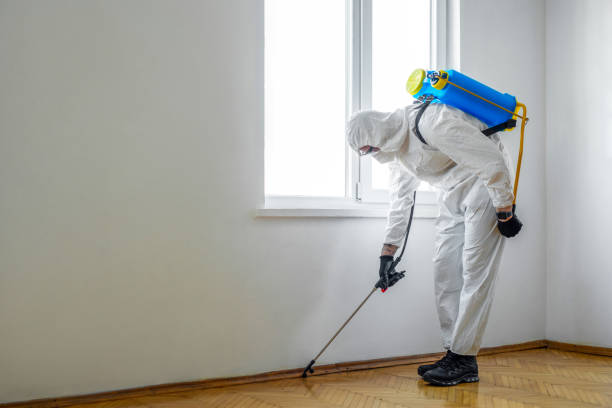 Best Pest Control for Restaurants  in Viola, IL